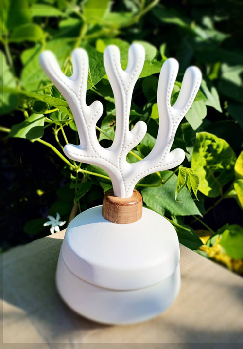 Coral Diffuser_Wooden Neck_All White_1st